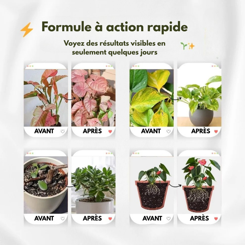 GREENBOOSTER ™- Le Miracle de la croissance !1L