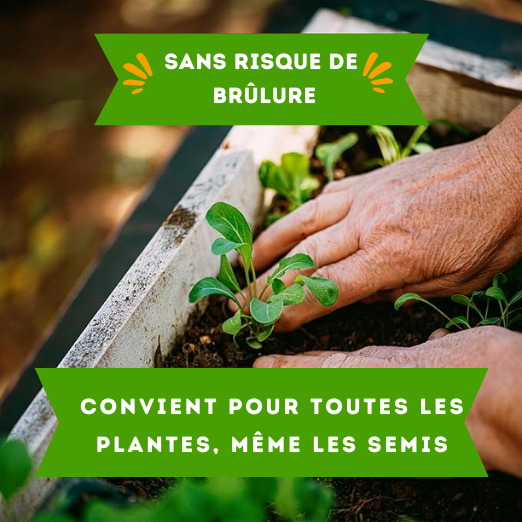 VERMICOMPOST PREMIUM ™– 8 KG