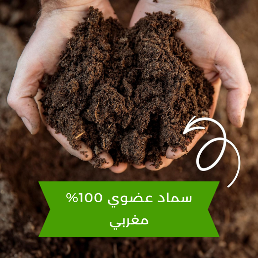 سماد دودي عضوي 10 KG