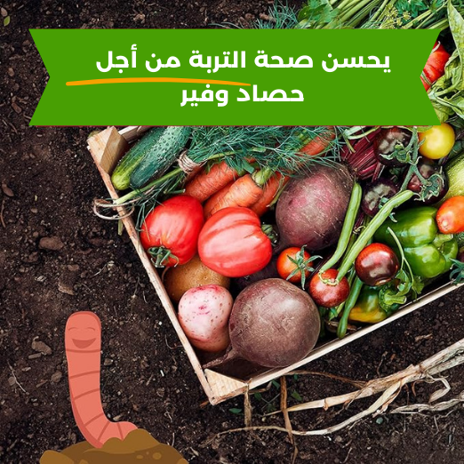 سماد دودي عضوي 10 KG