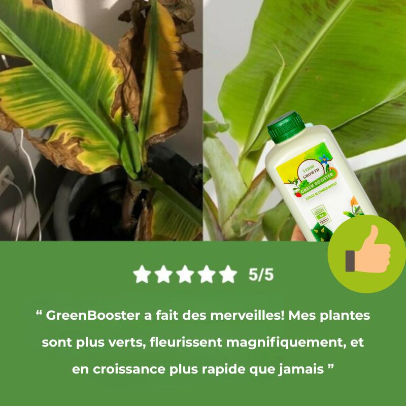 GREENBOOSTER ™- Le Miracle de la croissance !1L