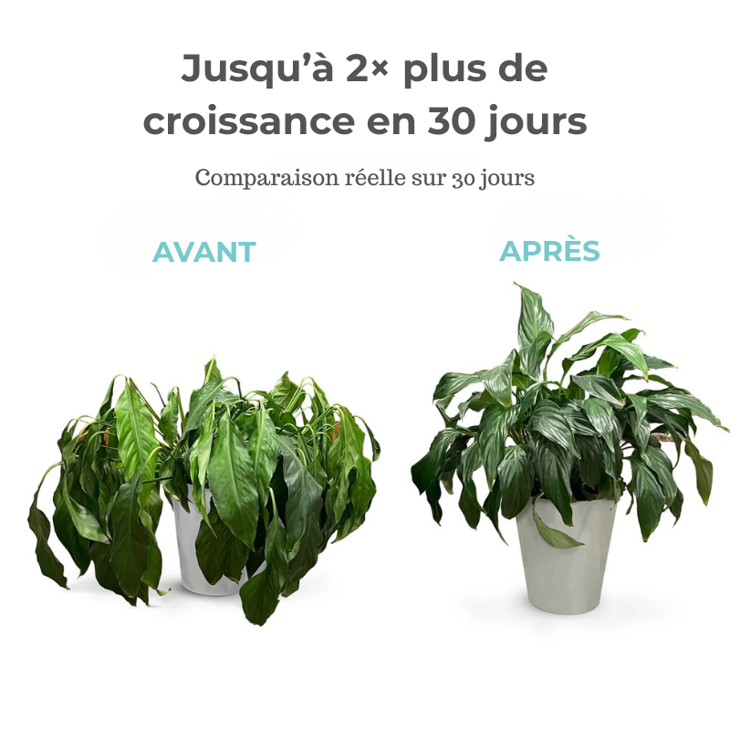 GREENBOOSTER ™- Le Miracle de la croissance !1L